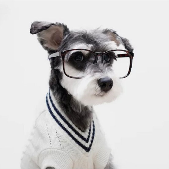 Dogs Styles