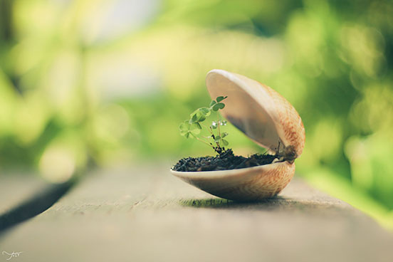 Tiny Treasure!