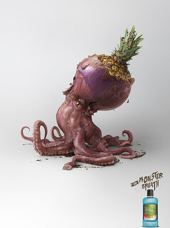 Octopus