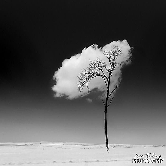 Cloud Tree