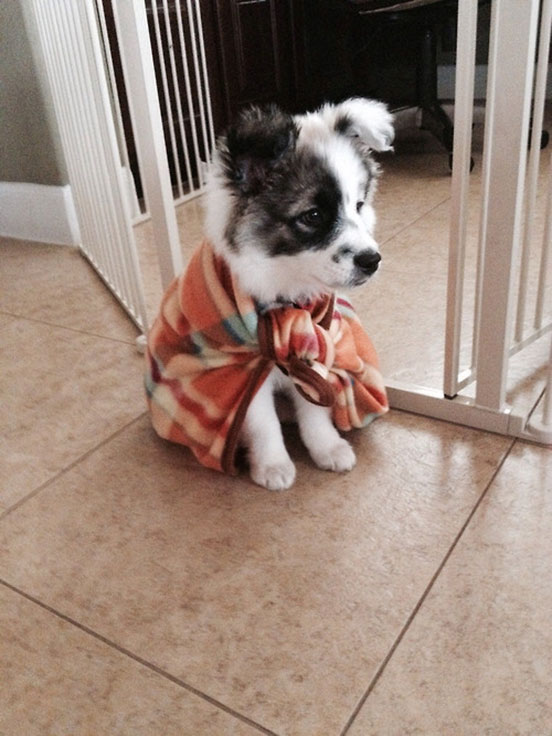 Superhero