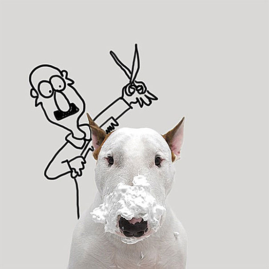 Bull Terrier