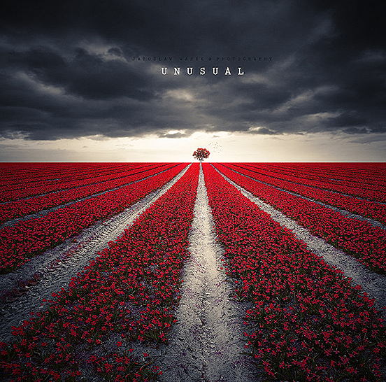 Unusual
