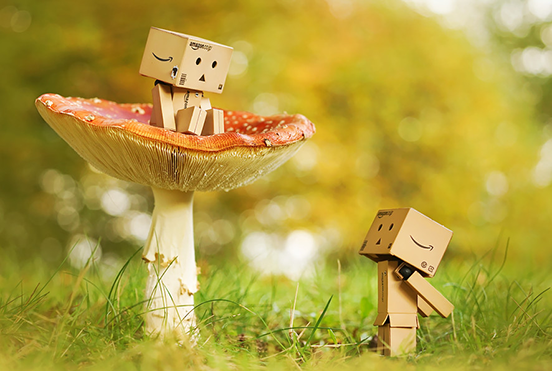 On A Mushroom