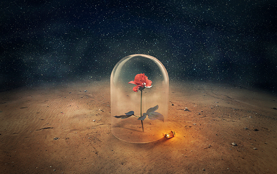 The Little Prince