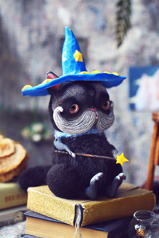 wizard cat