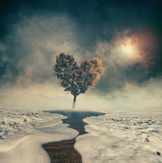 Lovely Lonely Tree