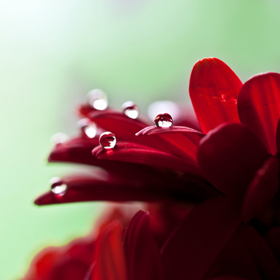 The Beauty of a Rainy Day