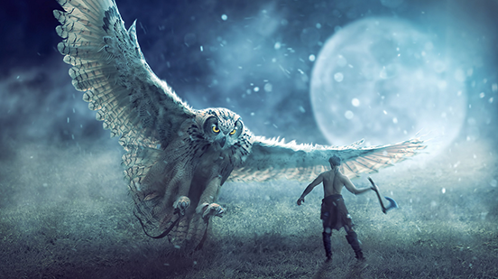 Big Owl