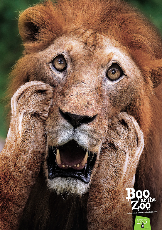 lion