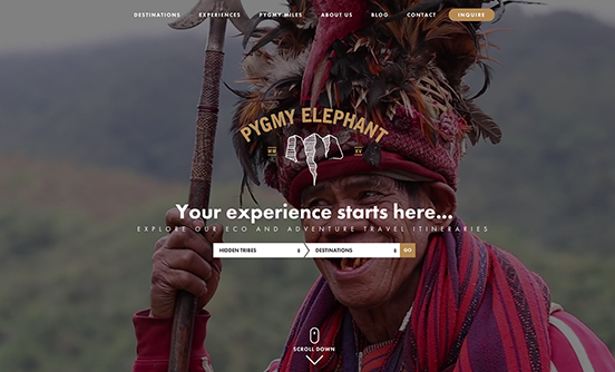 Pygmy Elephant