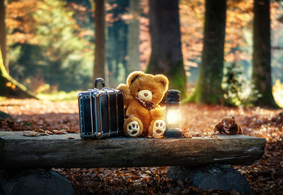 The Bear
