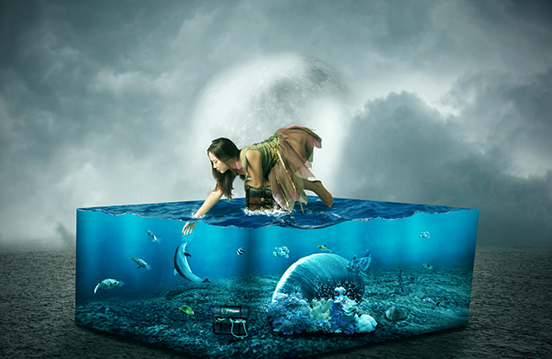 The Lost Aquarium